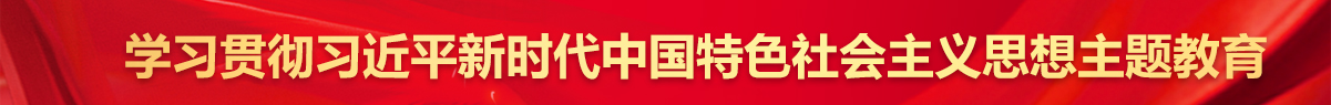 學習貫徹習近平新時代中國特色社會主義思想主題教育